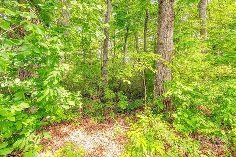 99999 Pheasant Ridge Road Fairview NC 28730