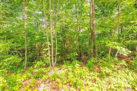 99999 Pheasant Ridge Road Fairview NC 28730