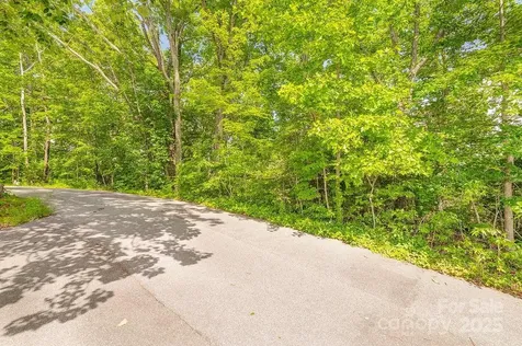 99999 Pheasant Ridge Road Fairview NC 28730