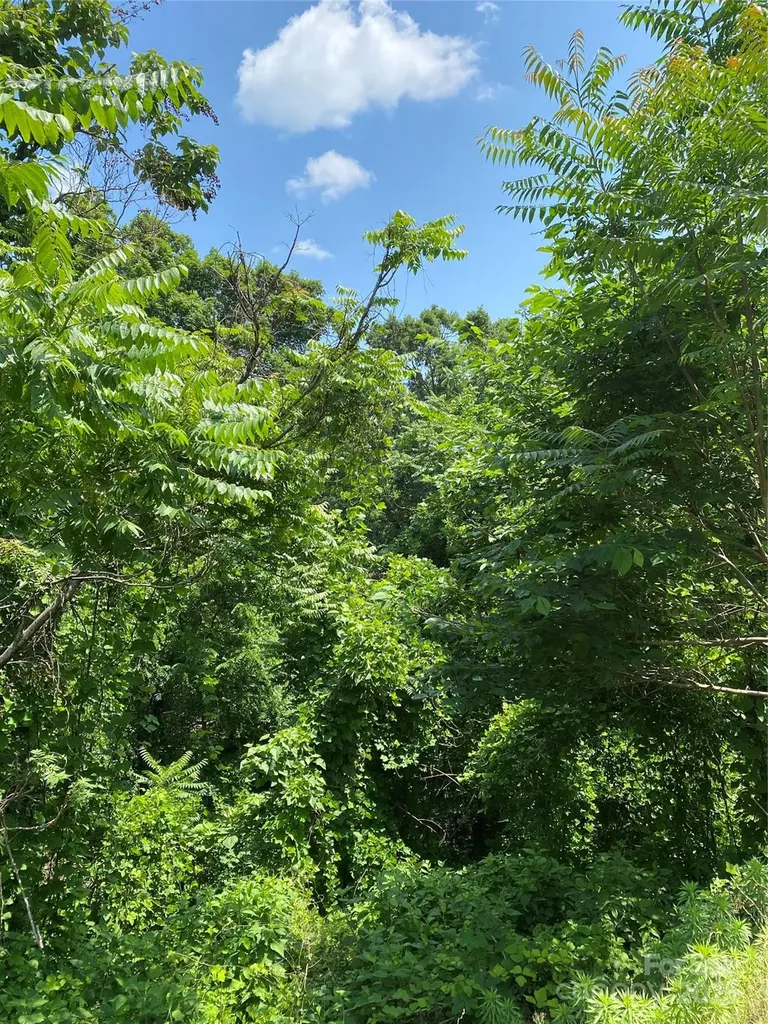 0 Falcons Avenue Lake Lure NC 28746