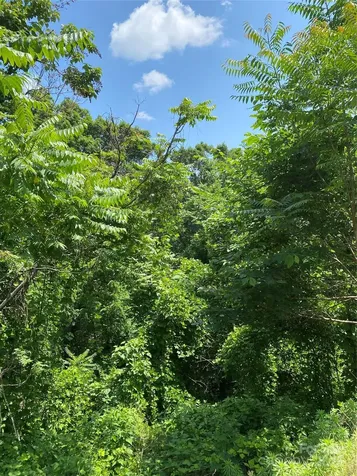 0 Falcons Avenue Lake Lure NC 28746