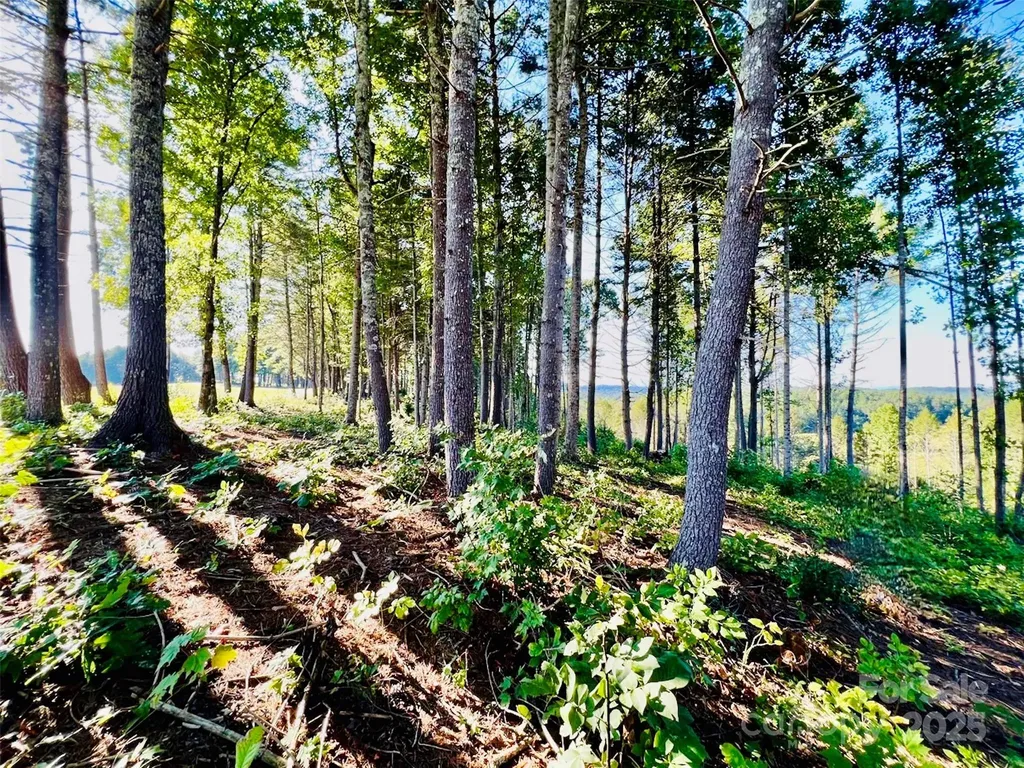 2.07 Acres, 2058 Thoroughbred Way Lenoir NC 28645