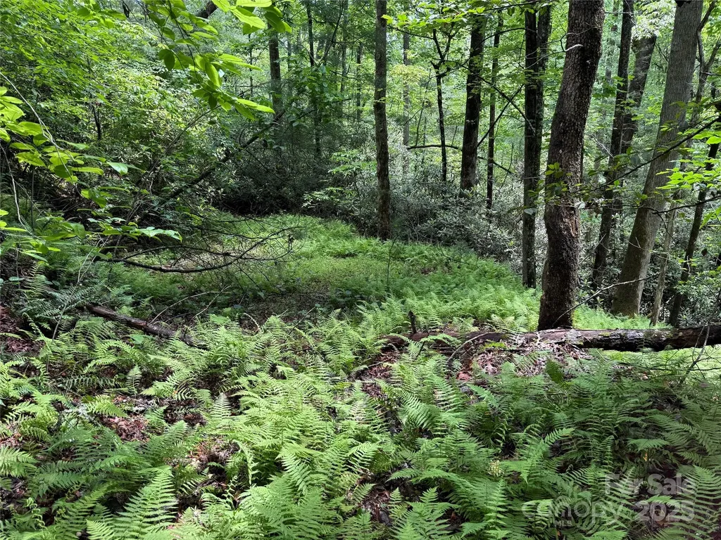 Tbd Caroline Lane Pisgah Forest NC 28768