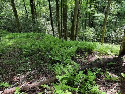 Tbd Caroline Lane Pisgah Forest NC 28768