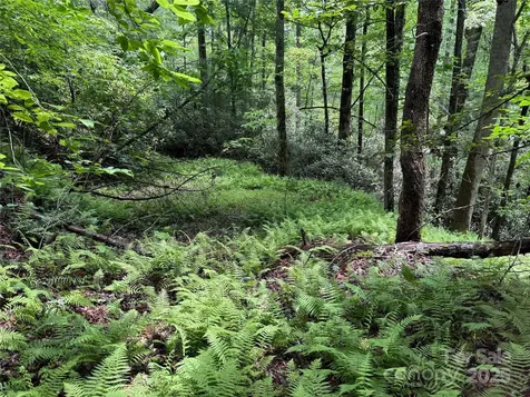 Tbd Caroline Lane Pisgah Forest NC 28768
