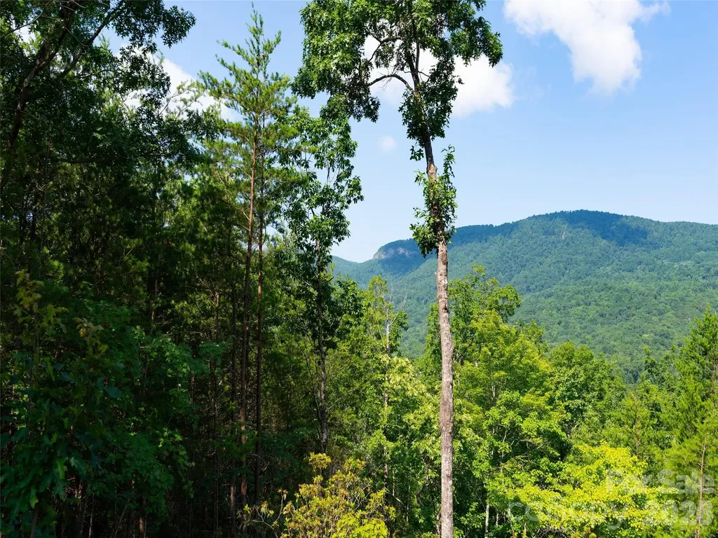 40 Deep Gap Farm Road E Mill Spring NC 28756