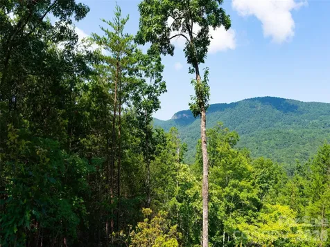 40 Deep Gap Farm Road E Mill Spring NC 28756