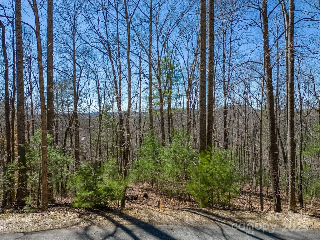 132 Overlook Park Drive Hendersonville NC 28792