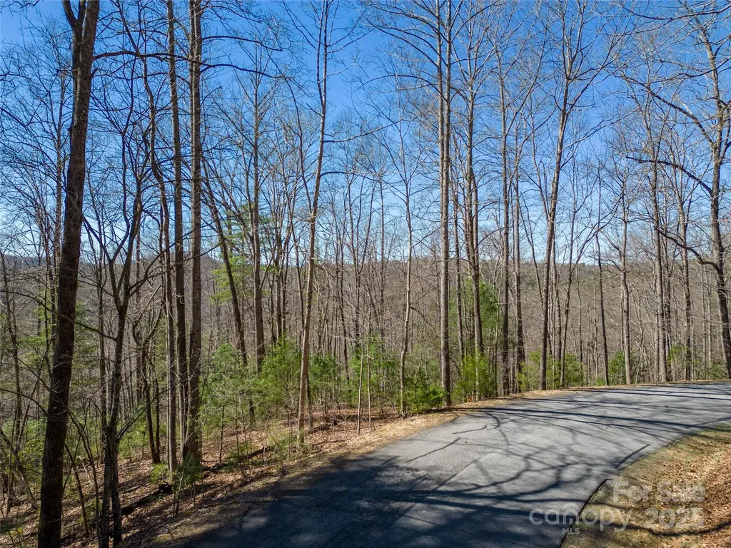 132 Overlook Park Drive Hendersonville NC 28792
