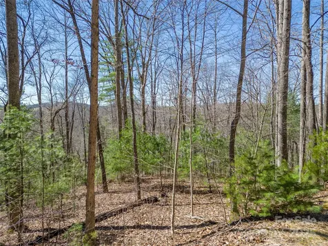 132 Overlook Park Drive Hendersonville NC 28792