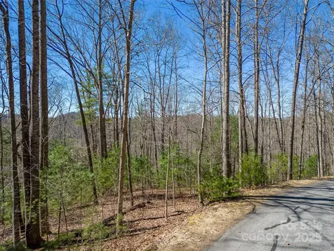 132 Overlook Park Drive Hendersonville NC 28792