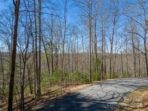 132 Overlook Park Drive Hendersonville NC 28792