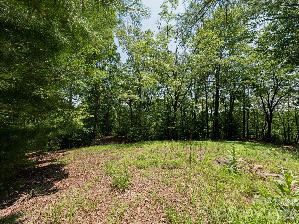 1000 Sutton Creek Road Pisgah Forest NC 28768