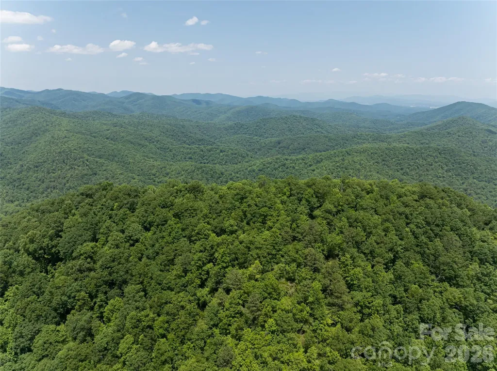 1000 Sutton Creek Road Pisgah Forest NC 28768