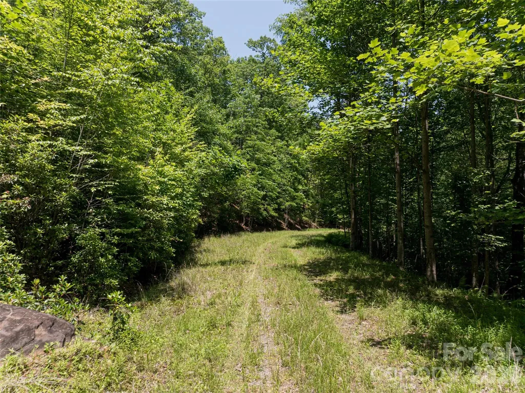 1000 Sutton Creek Road Pisgah Forest NC 28768
