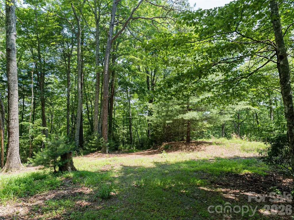 1000 Sutton Creek Road Pisgah Forest NC 28768