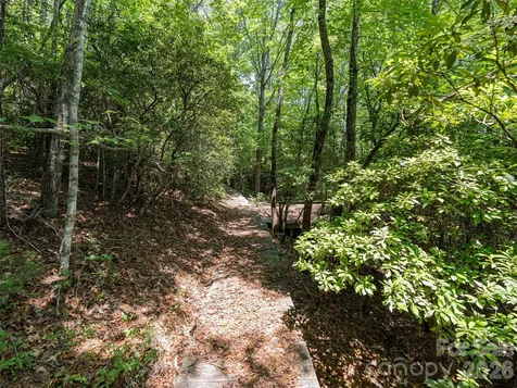 1000 Sutton Creek Road Pisgah Forest NC 28768