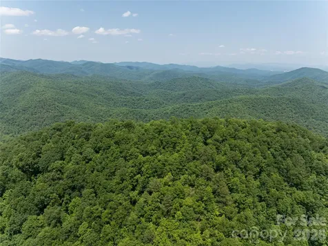 1000 Sutton Creek Road Pisgah Forest NC 28768