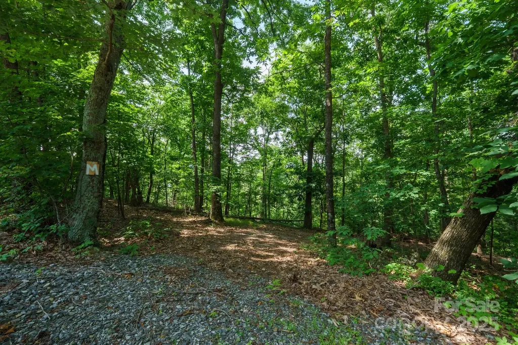 00 Hendren Road Moravian Falls NC 28654