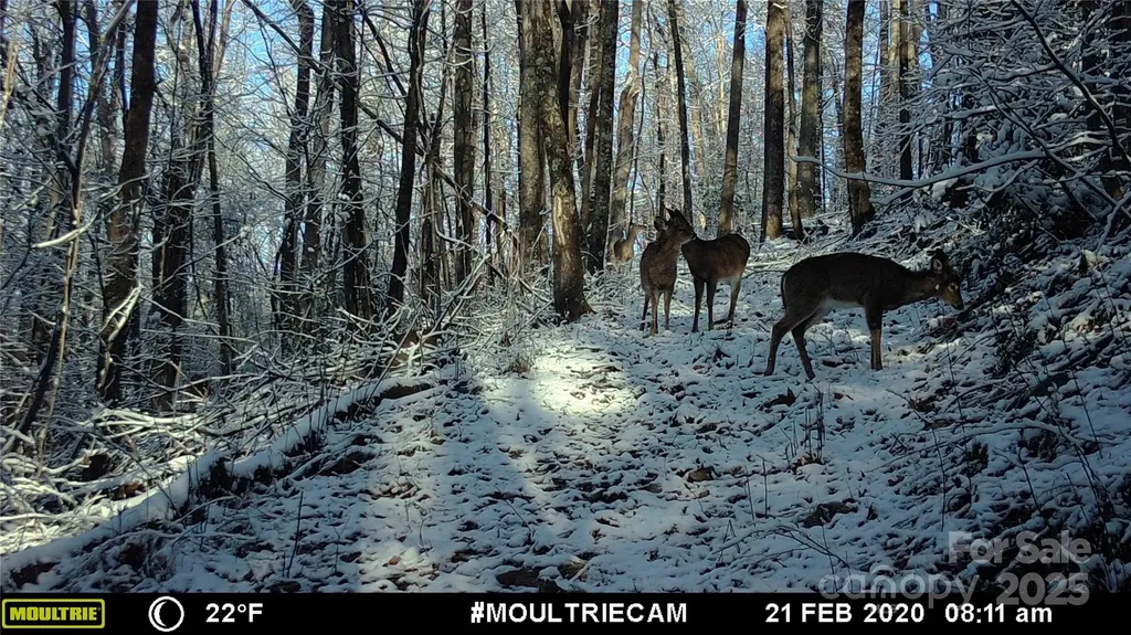 00 Hendren Road Moravian Falls NC 28654
