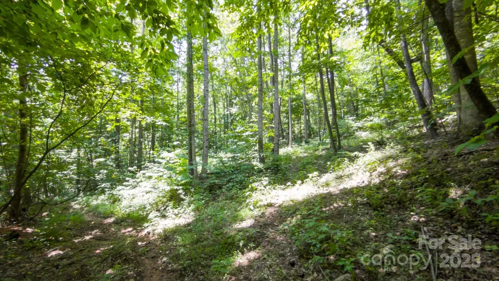 00 Hendren Road Moravian Falls NC 28654