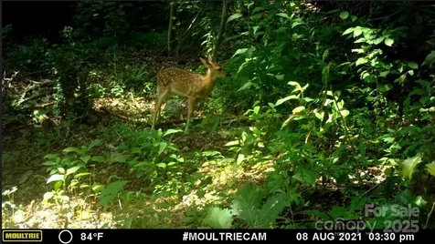 00 Hendren Road Moravian Falls NC 28654