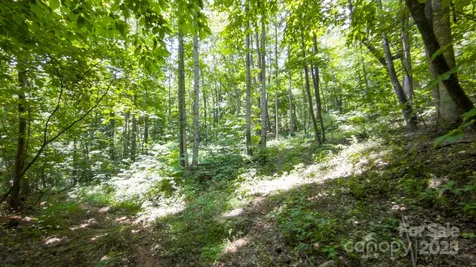 00 Hendren Road Moravian Falls NC 28654
