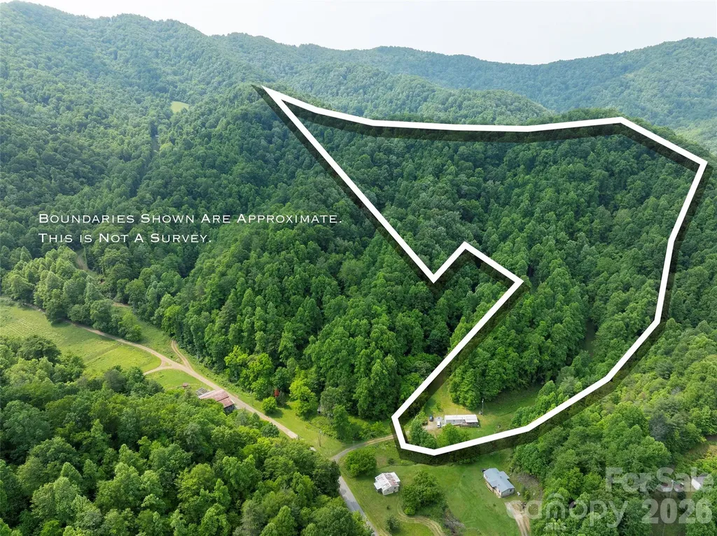 320 Board Tree Road Marshall NC 28753
