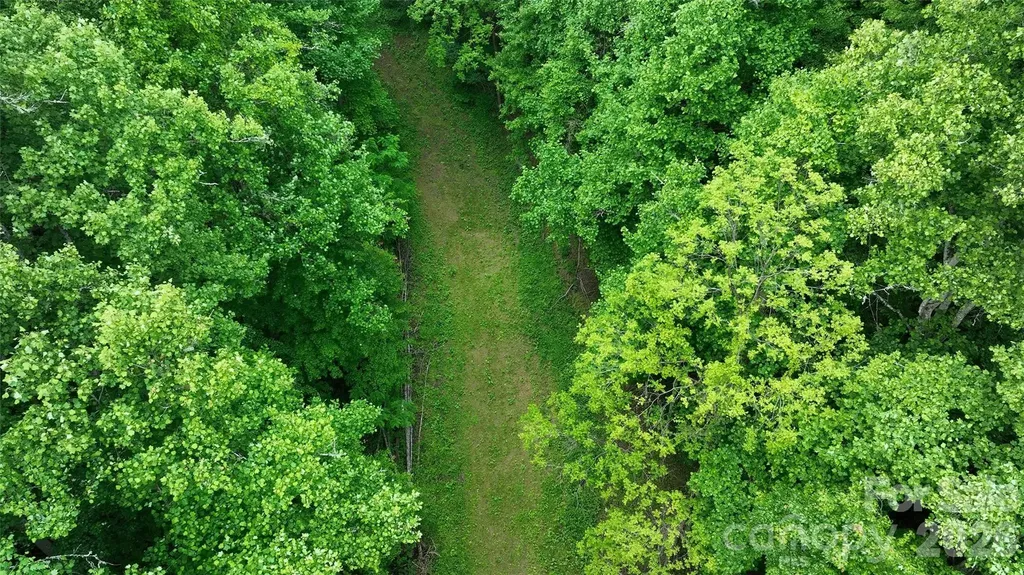 320 Board Tree Road Marshall NC 28753