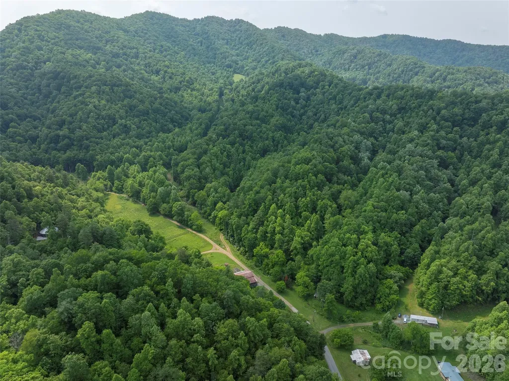 320 Board Tree Road Marshall NC 28753