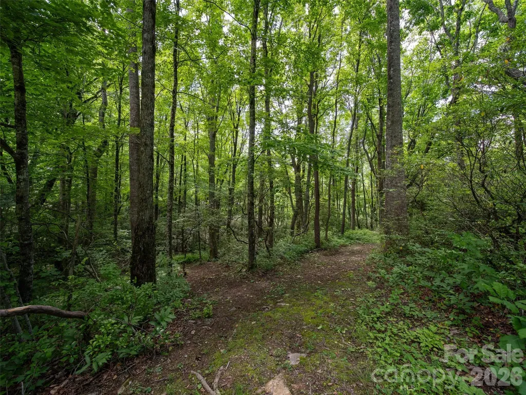 83 Waterstone Drive Hendersonville NC 28792