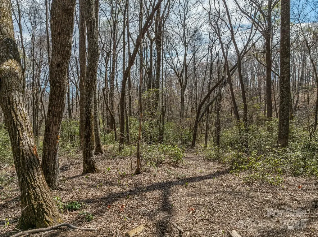 83 Waterstone Drive Hendersonville NC 28792
