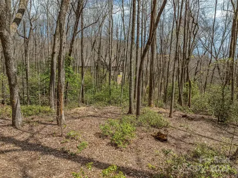 83 Waterstone Drive Hendersonville NC 28792