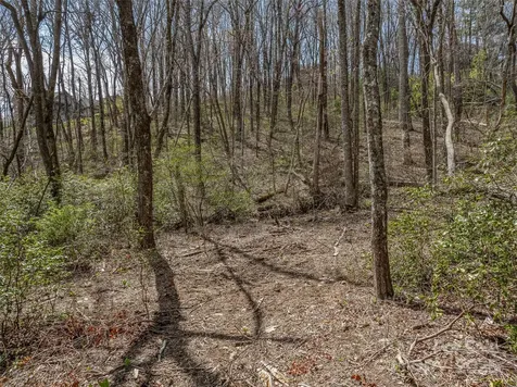 83 Waterstone Drive Hendersonville NC 28792