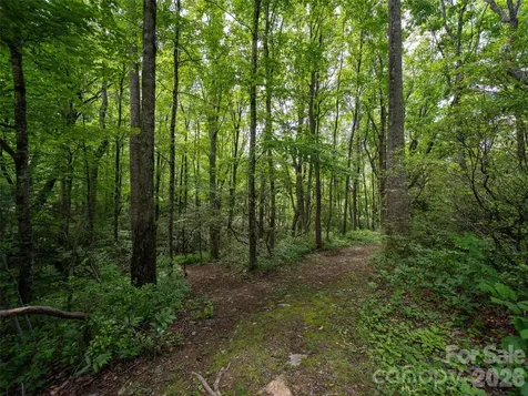83 Waterstone Drive Hendersonville NC 28792