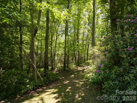 83 Waterstone Drive Hendersonville NC 28792