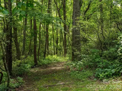 83 Waterstone Drive Hendersonville NC 28792