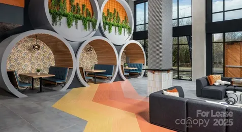 1015 N Alexander Street Charlotte NC 28206