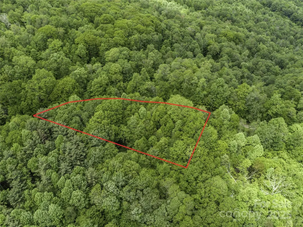 000 N Ridge Runner Road Burnsville NC 28714