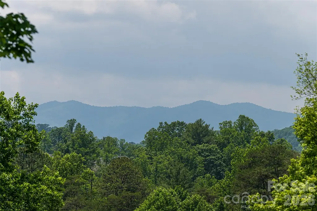 91 Greenwells Glory Drive Biltmore Lake NC 28715