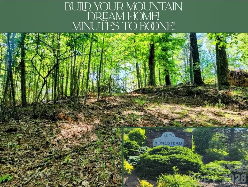Tbd Lucky Leaf Lane Vilas NC 28692
