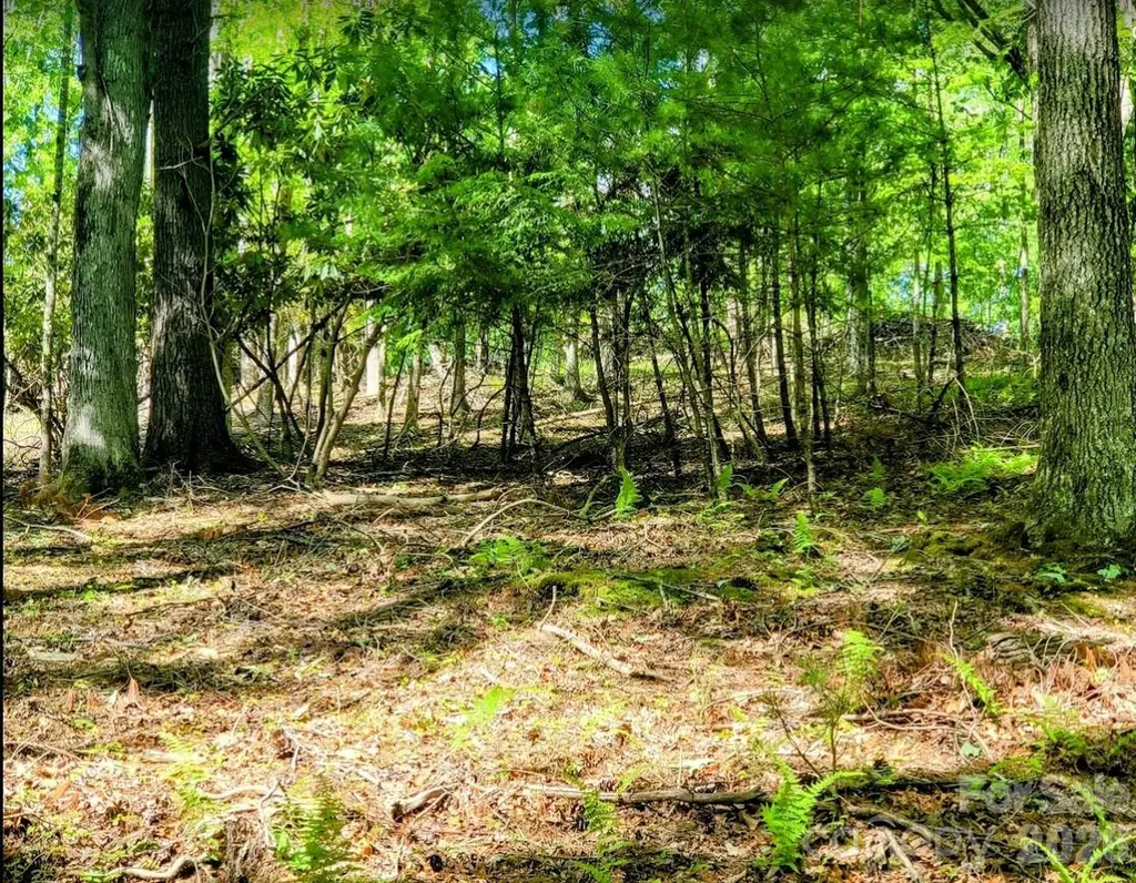 Tbd Lucky Leaf Lane Vilas NC 28692