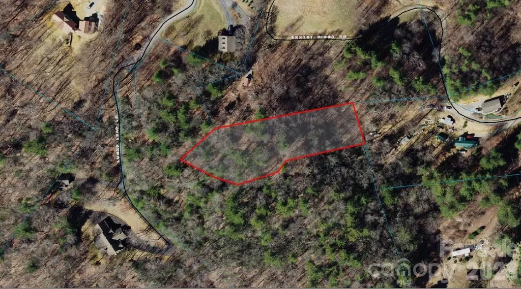Tbd Lucky Leaf Lane Vilas NC 28692