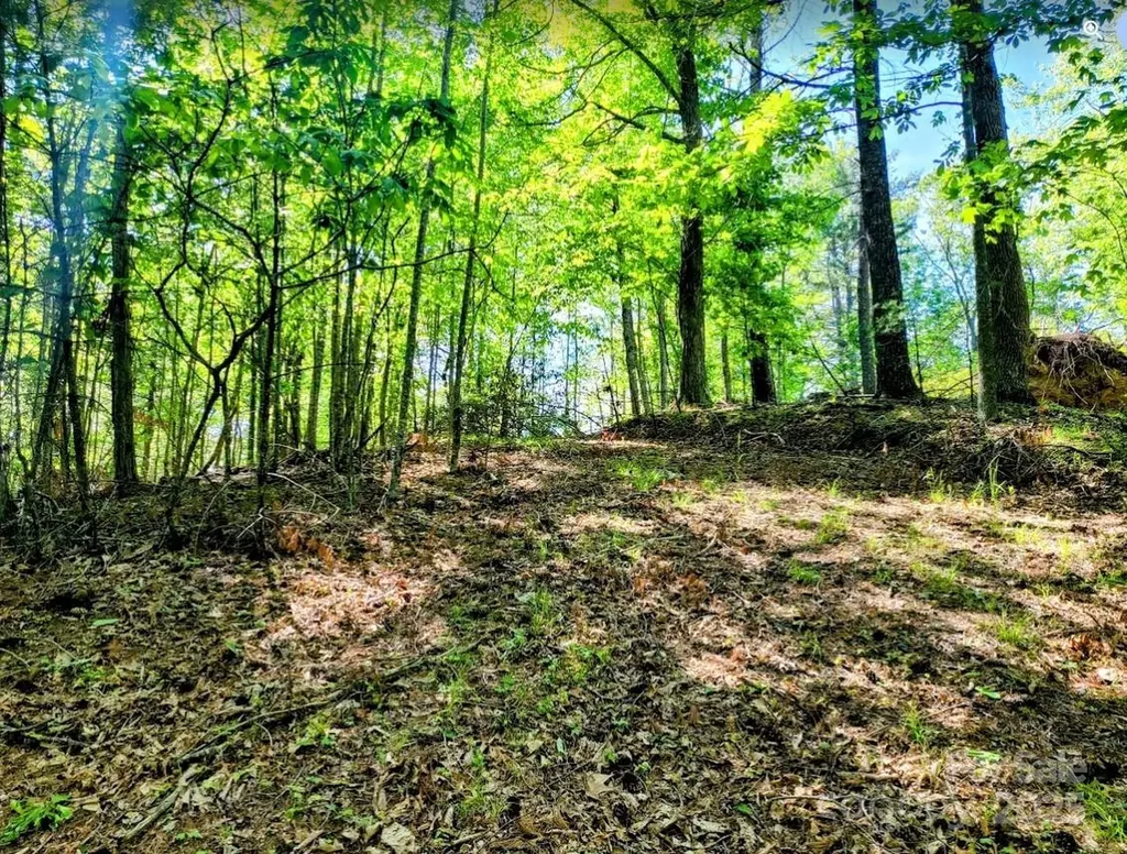 Tbd Lucky Leaf Lane Vilas NC 28692