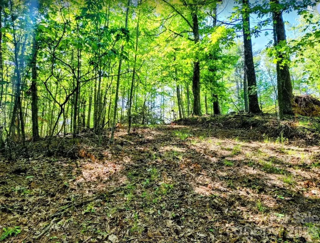 Tbd Lucky Leaf Lane Vilas NC 28692