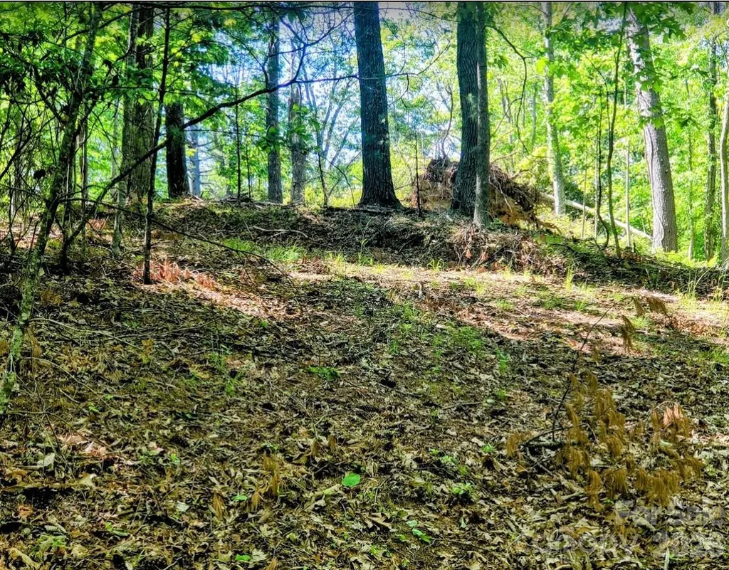 Tbd Lucky Leaf Lane Vilas NC 28692