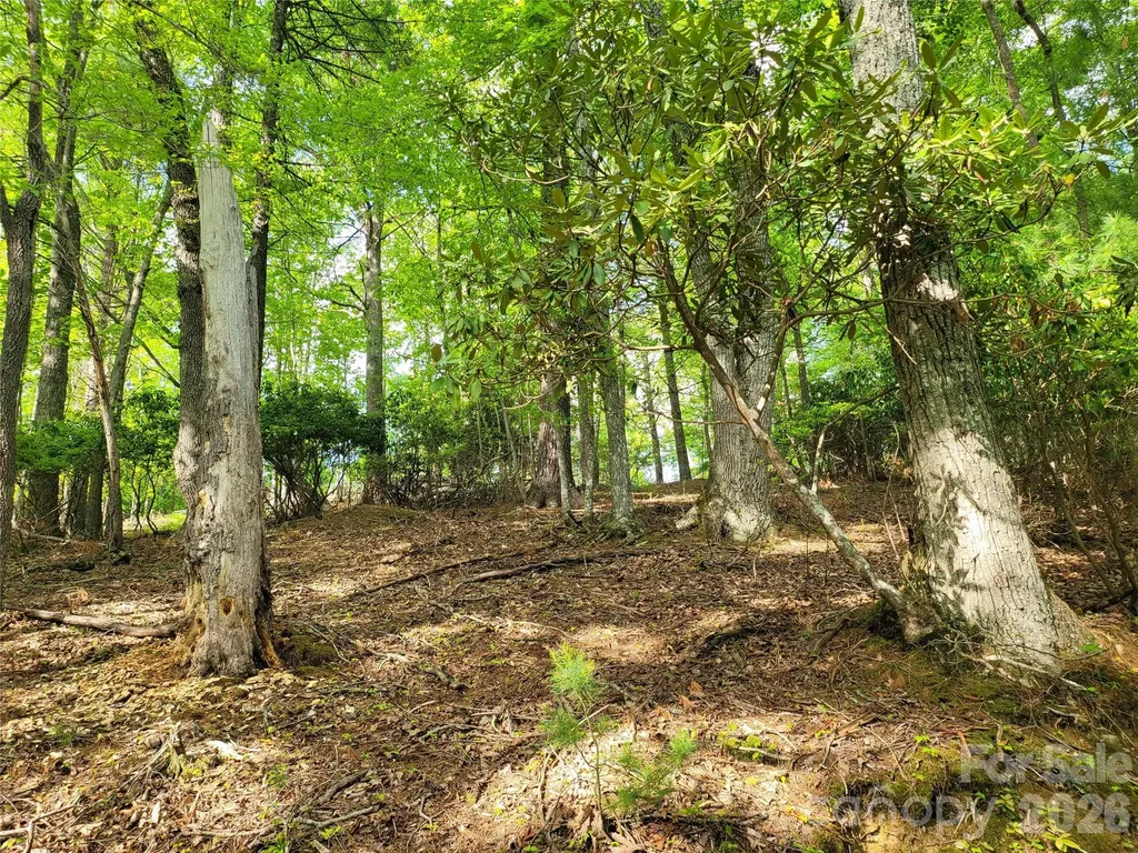 Tbd Lucky Leaf Lane Vilas NC 28692