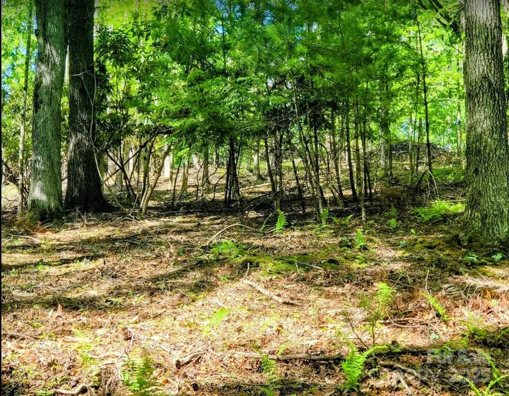 Tbd Lucky Leaf Lane Vilas NC 28692