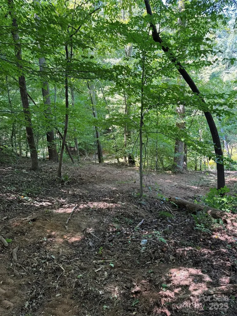 7116 Nancy Lee Circle Sherrills Ford NC 28673