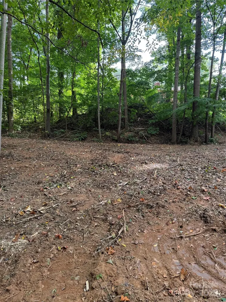7116 Nancy Lee Circle Sherrills Ford NC 28673